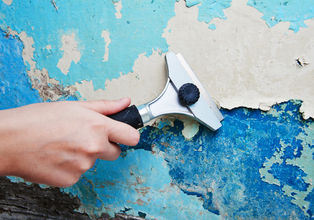 A scraper lifting a layer of cracked old paint away from a wall